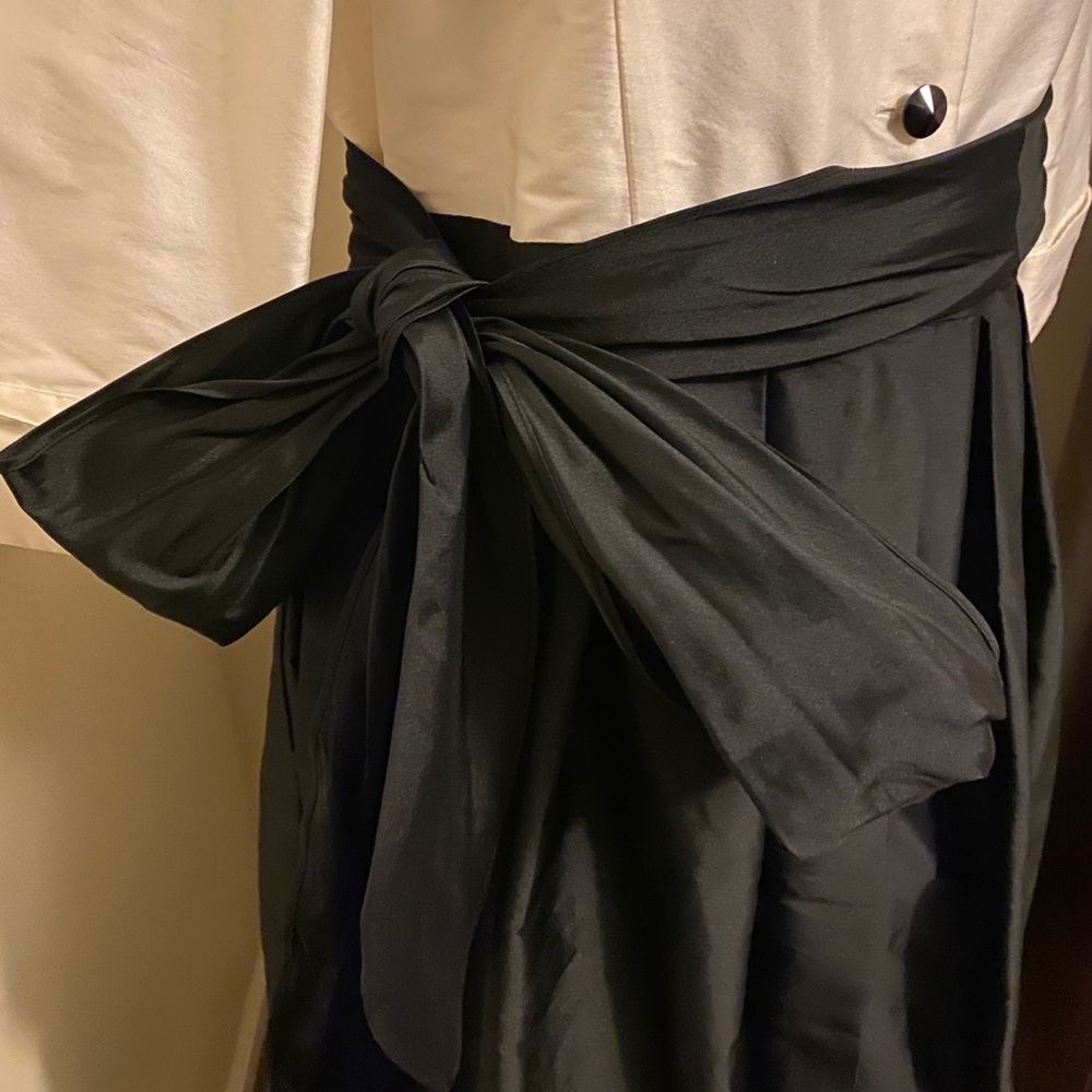 Adrianna Papell 16 Ivory and Black Two-Tone Maxi Dress - Picture 4 of 13